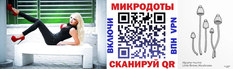 Галлюциногенные грибы Psilocybe  Сковородино 
